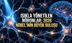 2026 Nobel Tıp Ödülü Optogenetiğe: Sinir Hücrelerini Işıkla Kontrol Eden Teknoloji Tıbbı Nasıl Değiştirebilir?