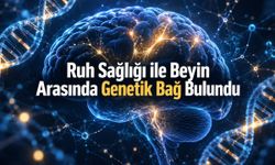 Ruh Sağlığıyla İlişkili Beyin Örüntülerinde 45 Genetik Varyant Bulundu