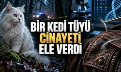 Bir Kedi ve 27 Beyaz Tüy: Adli Tıp Tarihine Geçen Snowball Vakası