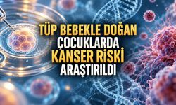 Danimarka'da Bir Milyondan Fazla Çocuk İncelendi: Tüp Bebek Tedavisinde Kanser Riski Araştırıldı