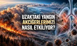 Orman Yangınının Dumanı Yüzlerce Kilometre Uzaktaki İnsanları Nasıl Etkiliyor?
