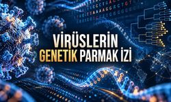 Bir Virüsün Genetik Parmak İzi Nasıl Takip Ediliyor?