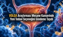 Mesane Kanserinde 695 Hastalık Araştırma: Ölüm Riskinde Yüzde 42 Göreli Azalma