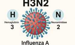 H3N2 Alarmı: Bu Grip Bildiklerimizden Daha Ağır Seyrediyor