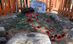 Bir Nesil Şehit Oldu, Bir Nesil Ziyaret Etti: Tıbbiyeliler Çanakkale’de