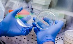 Kanser tedavisinde devrim: CAR-T ve immünoterapi bazı hastalarda tümörü tamamen yok edebiliyor