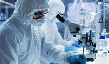 Sepsis Araştırmasında Nanoparçacıklar Farelerde Organ Hasarını Azalttı