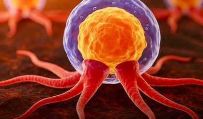 Glioblastoma İçin Kişiye Özel mRNA Aşısı: Erken Faz Çalışmadan Umut Veren Bulgular