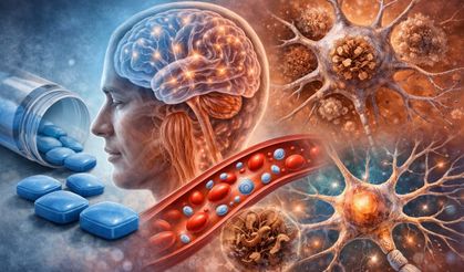 Şaşırtan Araştırma: Viagra Kullananlarda Alzheimer Riski Daha Düşük