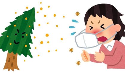 Polen alerjisi nedir, belirtileri, nedenleri ve tedavi yöntemleri
