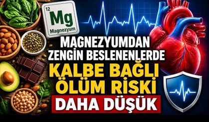 Magnezyumdan Zengin Beslenenlerde Kalbe Bağlı Ölüm Riski Daha Düşük