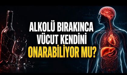 Alkolün Vücuda Verdiği Zararlar Geri Dönebilir mi? Yeni Araştırma 60’tan Fazla Hastalığa Dikkat Çekti