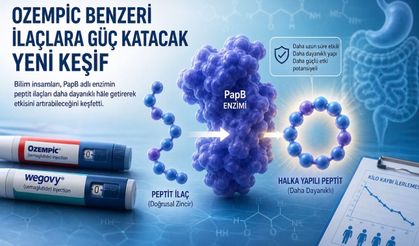 Zayıflama İlaçlarında Yeni Dönem: Bilim İnsanları Etkiyi Artırabilecek Enzimi Buldu