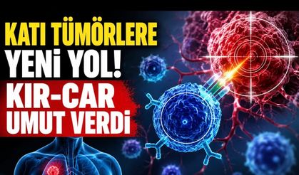 Katı Tümör Sorununa Yeni Yol: KIR-CAR Tedavisi İlk İnsan Verilerinde Dikkat Çekti