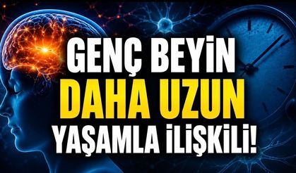 Beynin Biyolojik Yaşı Ölüm Riskini Ele Verebilir