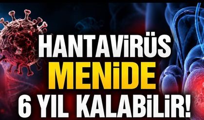 Hantavirüs İçin Yeni Uyarı: Virüs Menide Yıllarca Kalabilir