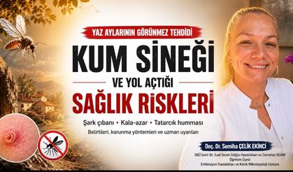 Yaz Aylarının Görünmez Tehdidi: Kum Sineği ve Yol Açtığı Sağlık Riskleri