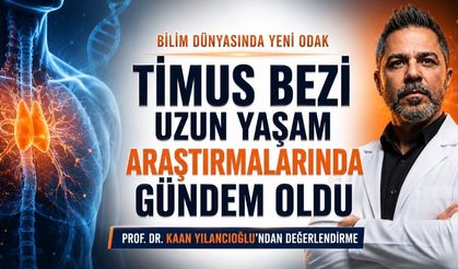 Uzun Yaşam Araştırmalarında Yeni Odak: Timus Bezi