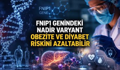 Nature: Nadir FNIP1 gen varyantı metabolik hastalık riskinde koruyucu etkiyle ilişkilendirildi
