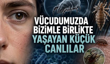 Kirpiklerden Saç Derisine: İnsan Vücudunda Yaşayabilen Küçük Canlılar