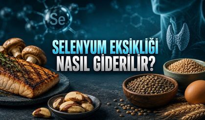 Selenyum Hangi Besinlerde Var? En Güçlü Doğal Kaynaklar