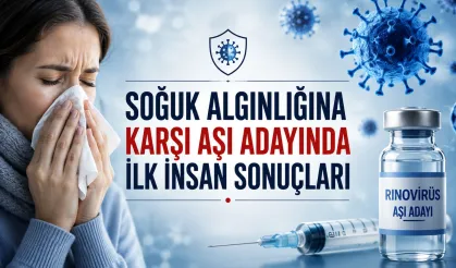 Soğuk algınlığının başlıca nedeni rinovirüse karşı aşıda ilk sonuçlar