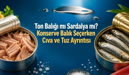 Ton Balığı mı Sardalya mı? Konserve Balık Seçerken Cıva ve Tuz Ayrıntısı