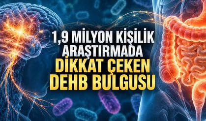 1,9 Milyondan Fazla Kişilik Araştırma: DEHB Olanlarda Bağırsak Sorunları Daha Sık Görülüyor