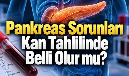 Lipaz, Amilaz, CRP: Pankreas İçin Hangi Değer Ne Anlama Geliyor?