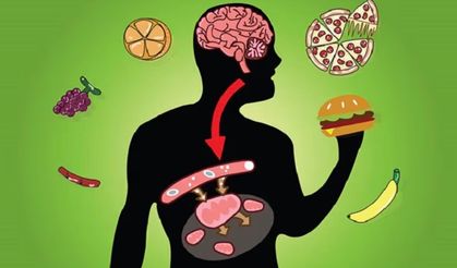 Kas Kütlesi, Uyku ve Hareket: Metabolizmayı Etkileyen Günlük Alışkanlıklar