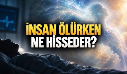 İnsan Ölürken Ne Hisseder? Bilim Ölümün Son Anları Hakkında Ne Biliyor?