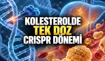 Tek Doz Gen Düzenleme LDL’yi Bir Yıl Boyunca Yüzde 52 Düşürdü