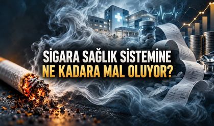 Sigaranın Sağlık Sistemine Maliyeti: Ülkelerin Faturası Ne Kadar?
