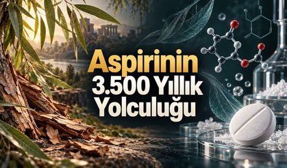 Söğüt Kabuğundan Aspirine: Binlerce Yıllık Ağrı Kesicinin Dönüşümü
