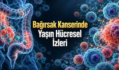 Gençlerde Bağırsak Kanseri: 850 Bin Hücre Çekirdeğinde Yeni Bulgular