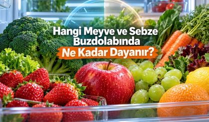 Çilek 2–3 Gün, Elma 4–6 Hafta: Hangi Meyve ve Sebze Buzdolabında Ne Kadar Taze Kalır?