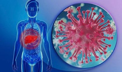 Hepatit B Nedir? Belirtileri, Bulaşma Yolları ve Güncel Tedaviler