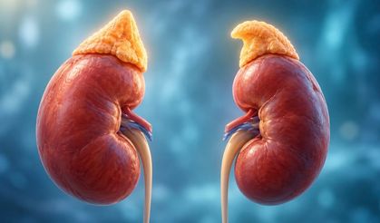 Addison hastalığı nedir? Belirtileri ve tedavisi