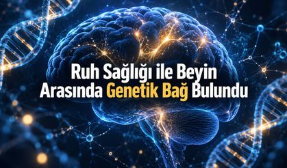 Ruh Sağlığıyla İlişkili Beyin Örüntülerinde 45 Genetik Varyant Bulundu