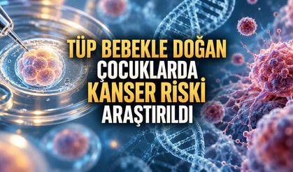 Danimarka'da Bir Milyondan Fazla Çocuk İncelendi: Tüp Bebek Tedavisinde Kanser Riski Araştırıldı