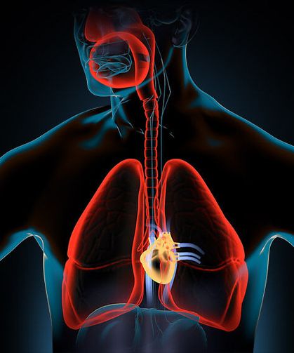 Akciğerlerdeki Sorunun Kaynağı Bir Protein Olabilir mi? CFTR