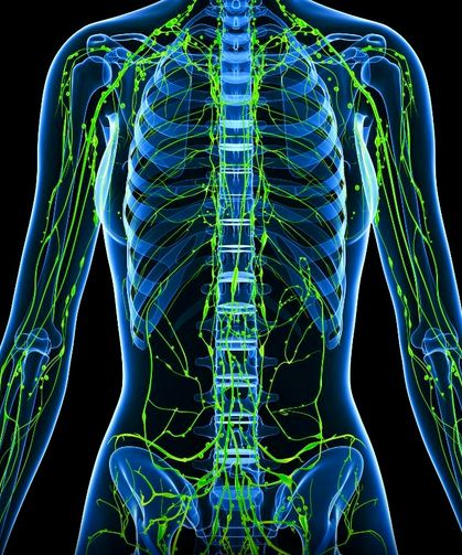 Lenf Sistemi Çalışmazsa Ne Olur? Uzmanlar Günlük 5 Alışkanlığı Öneriyor