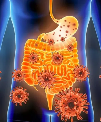 Norovirüs Nedir? Belirtileri ve Nasıl Bulaşır?