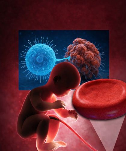 Kordon Kanından Kanser Avcısı Hücreler üretildi