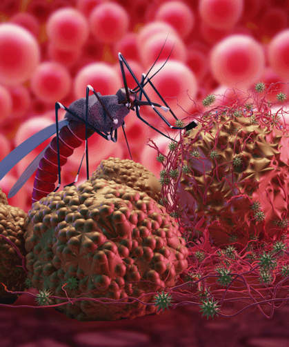 Sıtma Nasıl Anlaşılır? Erken Belirtiler, Teşhis ve Tedavi Seçenekleri