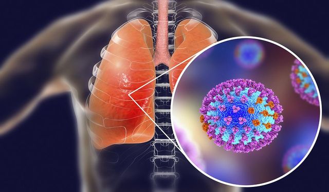 İnfluenza Nedir, Nasıl Tedavi Edilir? Doç. Dr. Ali Asan Anlattı