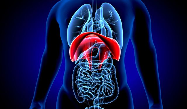 Uzman Dr. Orhan Koç Uyardı: Ev İçi Kazalar Sessiz Tehlike, Basit Tedbirler Hayat Kurtarıyor