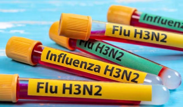 Mutasyona Uğramış H3N2 Alarmı: Grip Sezonu Erken Başladı
