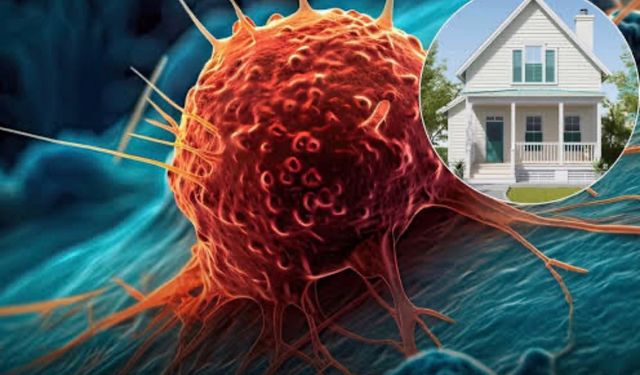 Günlük ev eşyaları ve olası kanser riski uyarısı