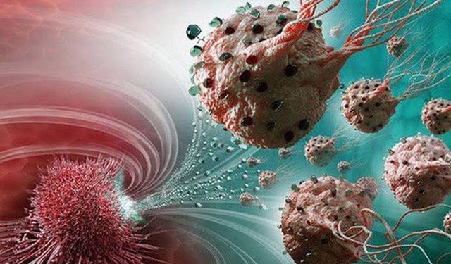 Onkolitik Virüslerle Kanser Tedavisinde Yeni Bilimsel Gelişmeler